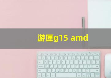 游匣g15 amd